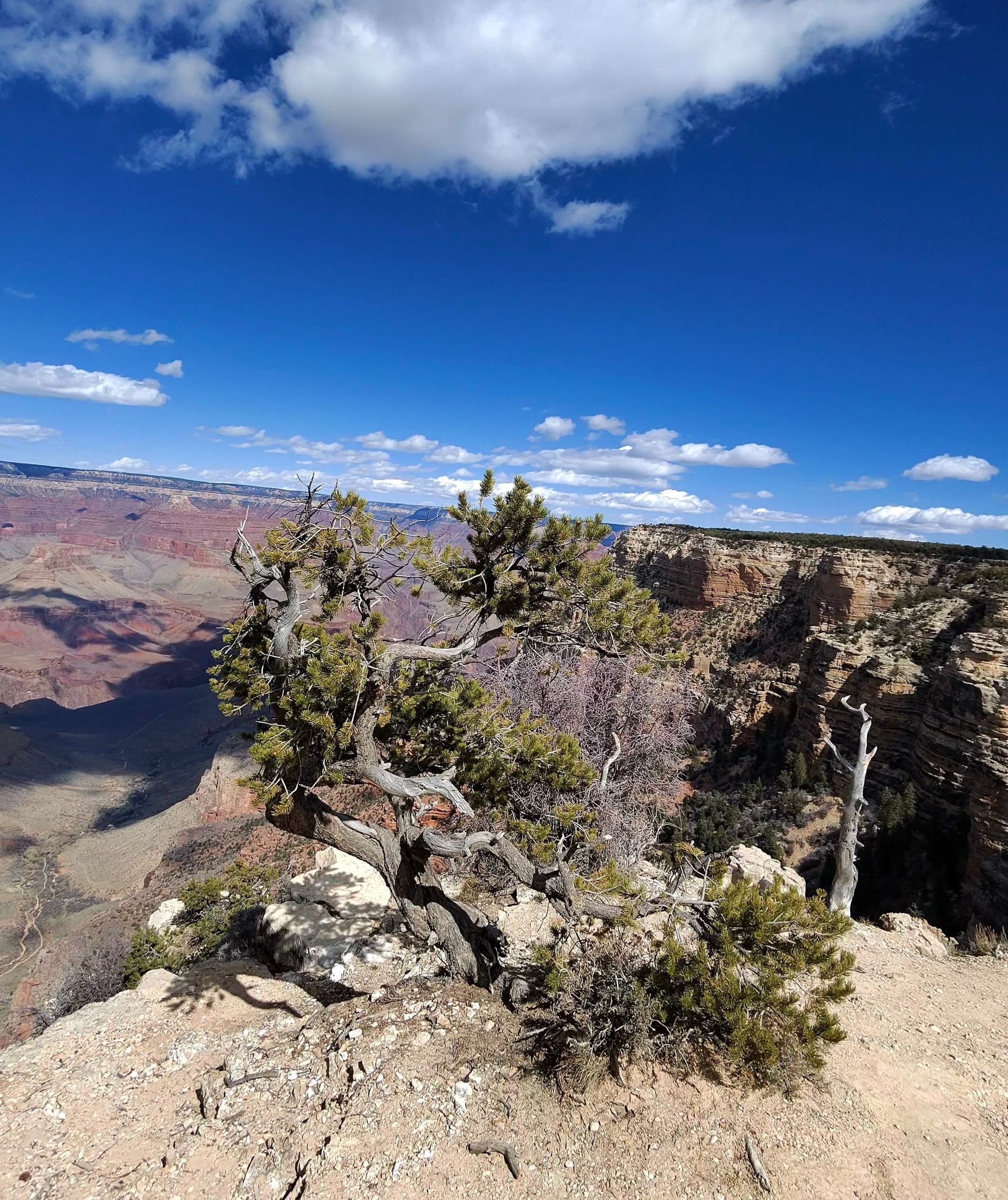 Peak Grand: One Canyon's Story